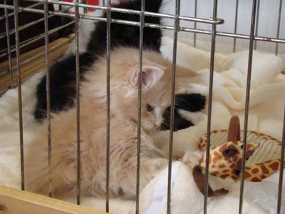 20121021_91 (Expo)